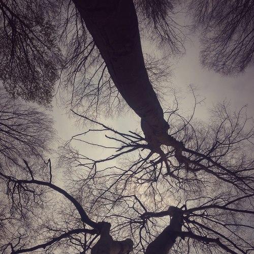 Photo #5352118