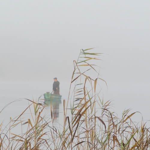 Photo #5352200