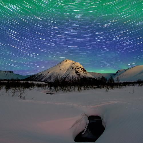 Photo #5352583