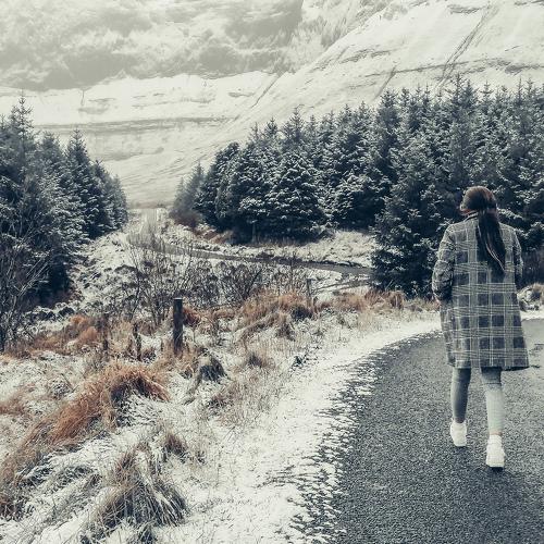 Photo #5352989