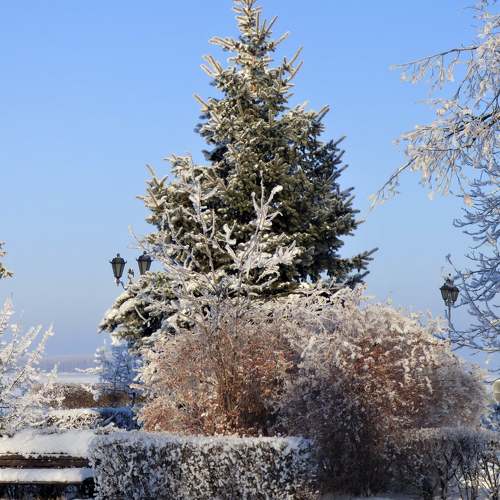 Photo #5353091