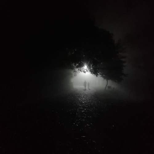 Photo #5353305