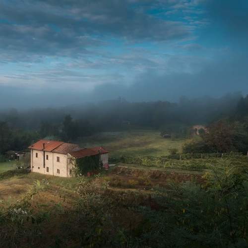 Photo #5353325