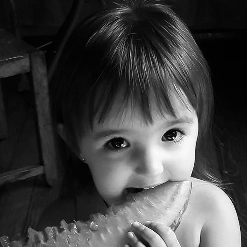 Photo #5354180