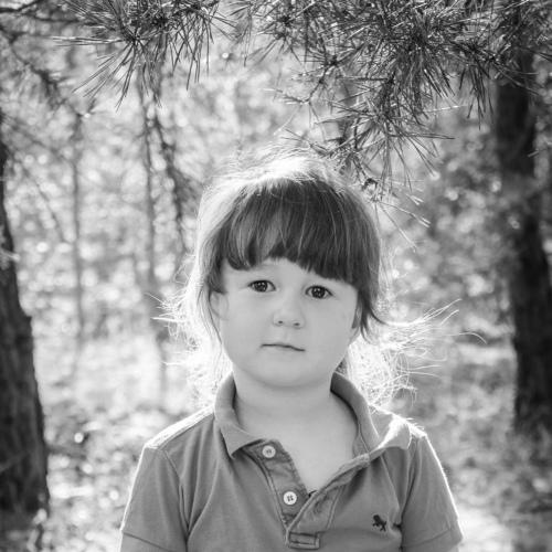 Photo #5354182