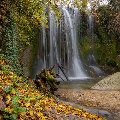 Falls