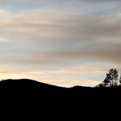 Photo #5355003