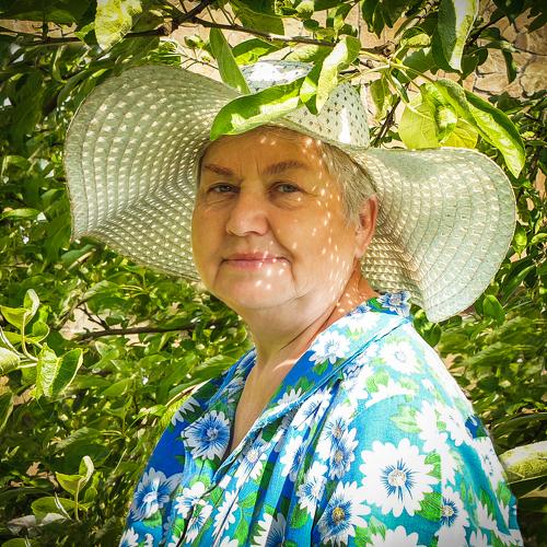 Photo #5355568