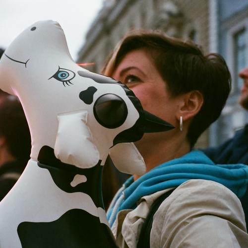 Photo #5356092