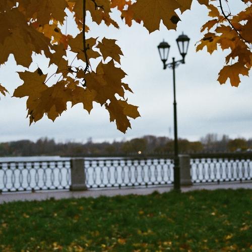 Photo #5356116
