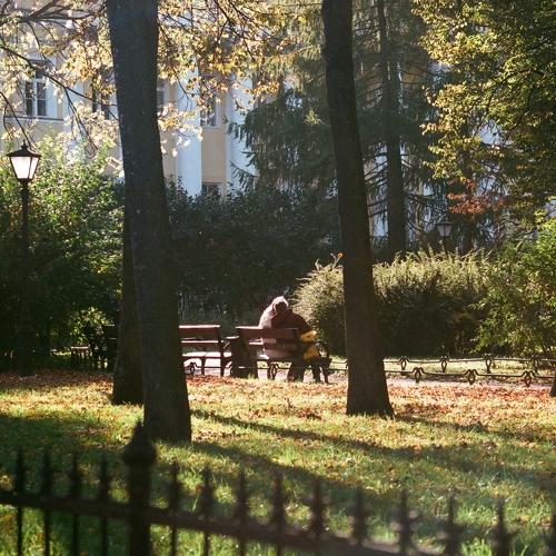 Photo #5356118