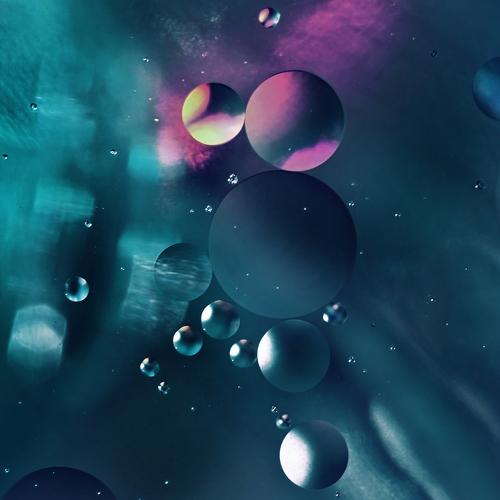 Photo #5356145