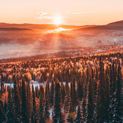 Photo #5356245