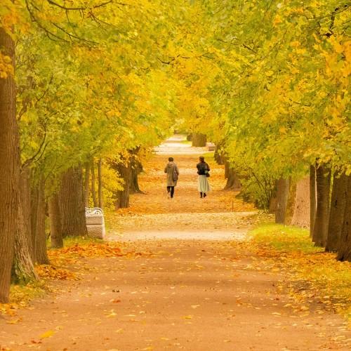 Photo #5356250