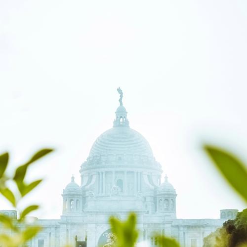 Photo #5356329