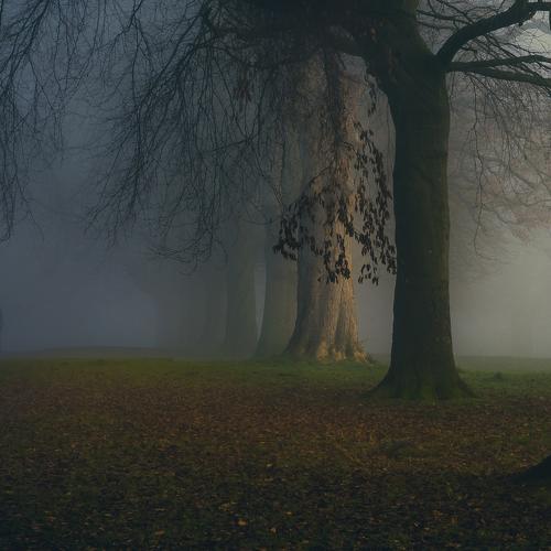 Photo #5356330