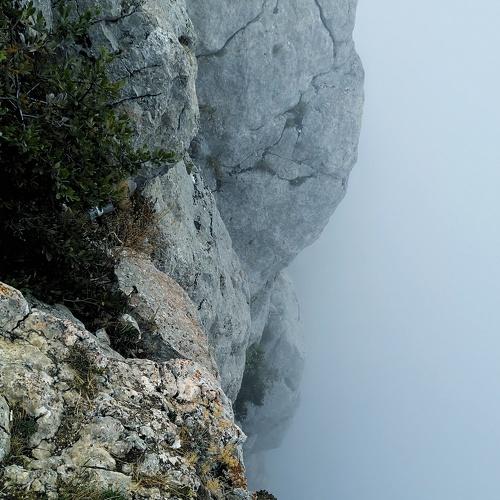 Photo #5356363