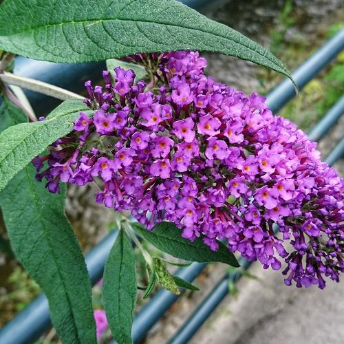 Photo #5356397