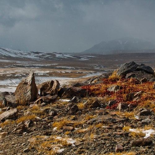 Photo #5356422