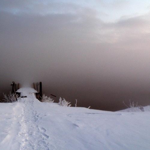 Photo #5356437