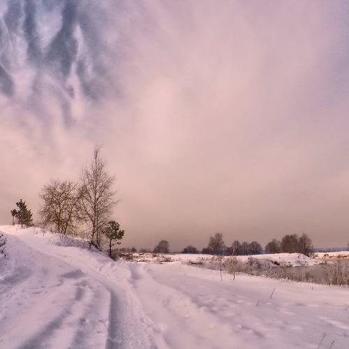 Photo #5356439