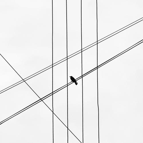 Фотография #5356459