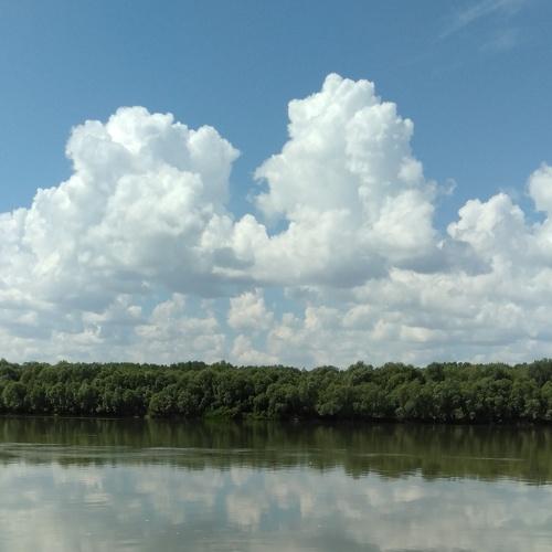 Photo #5356512