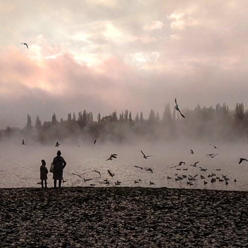 Photo #5357522