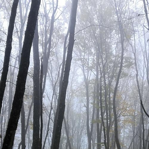 Photo #5357582
