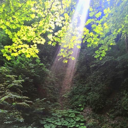 Photo #5357583