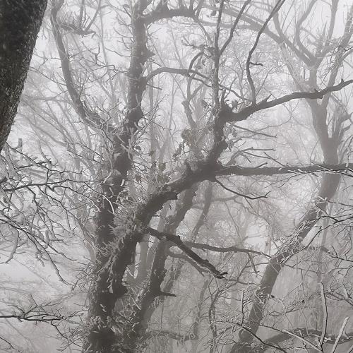 Photo #5357595