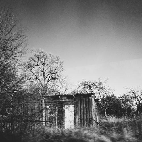 Photo #5357966