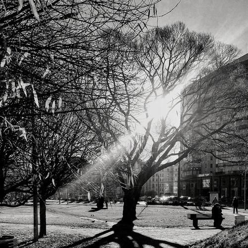 Photo #5358305