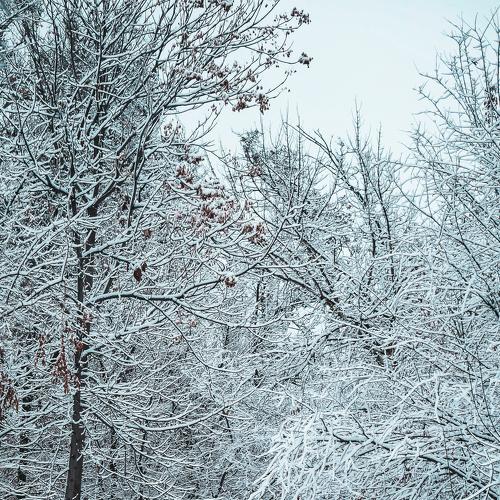 Photo #5358405