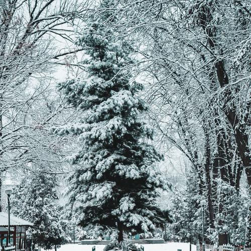 Photo #5358408