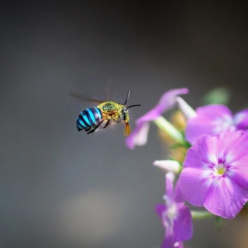 Photo #5358661