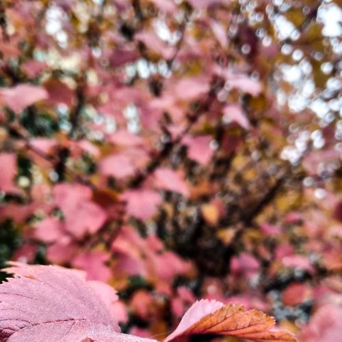 Photo #5358776