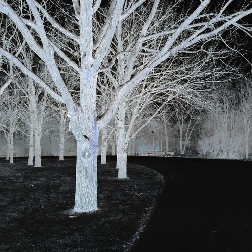 Photo #5359151