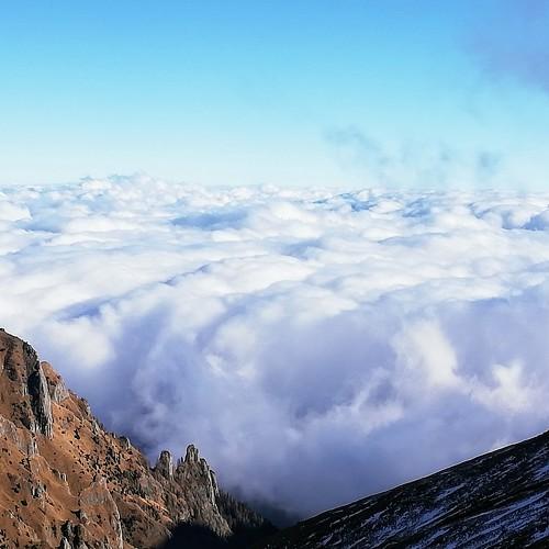 Photo #5359735
