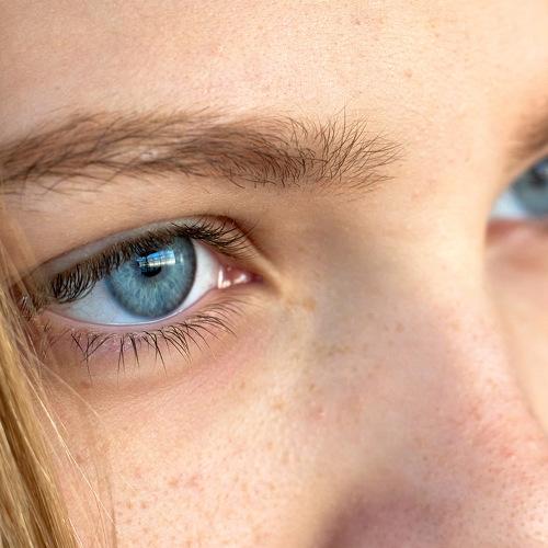 Photo #5359798