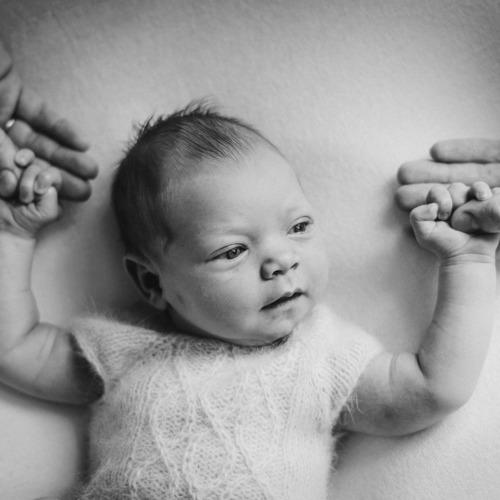 Photo #5359864