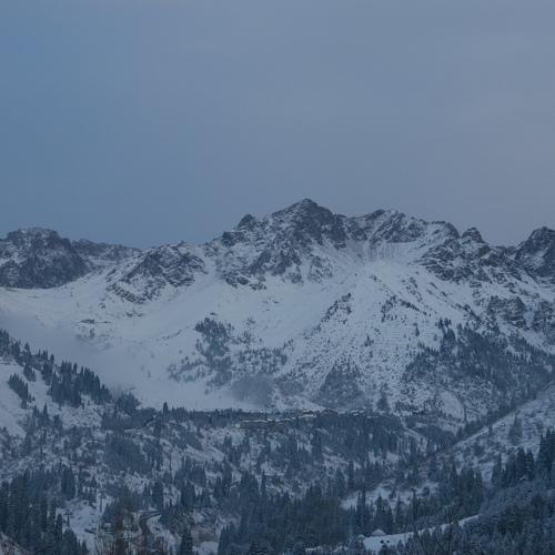 Photo #5359942
