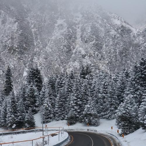 Photo #5359972