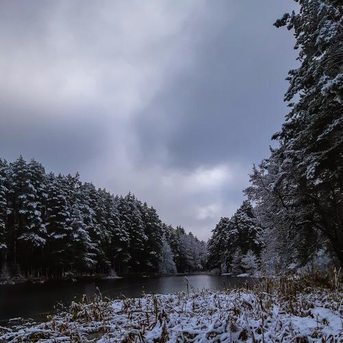 Photo #5360064