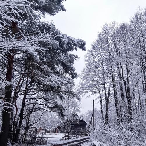 Photo #5360070