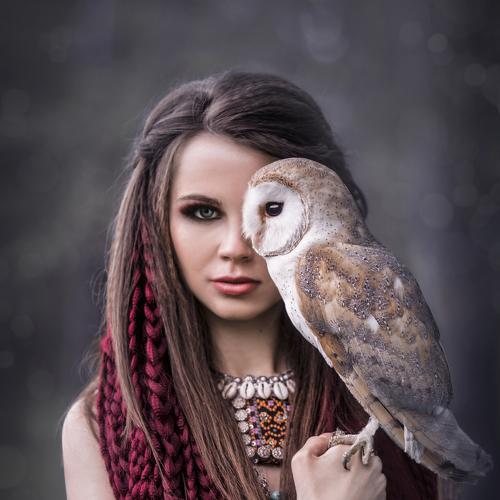Photo #5360823