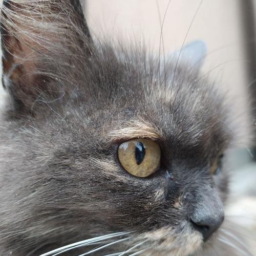 Photo #5361010