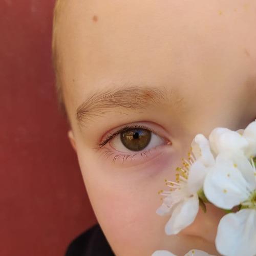 Photo #5361011