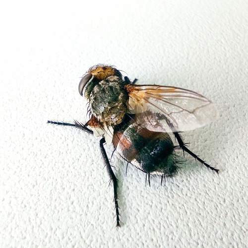 Photo #5361232