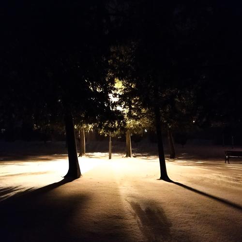 Photo #5361808